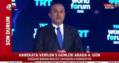 Dışişleri Bakanı Çavuşoğlu’ndan önemli Barış Pınarı Harekatı açıklaması!