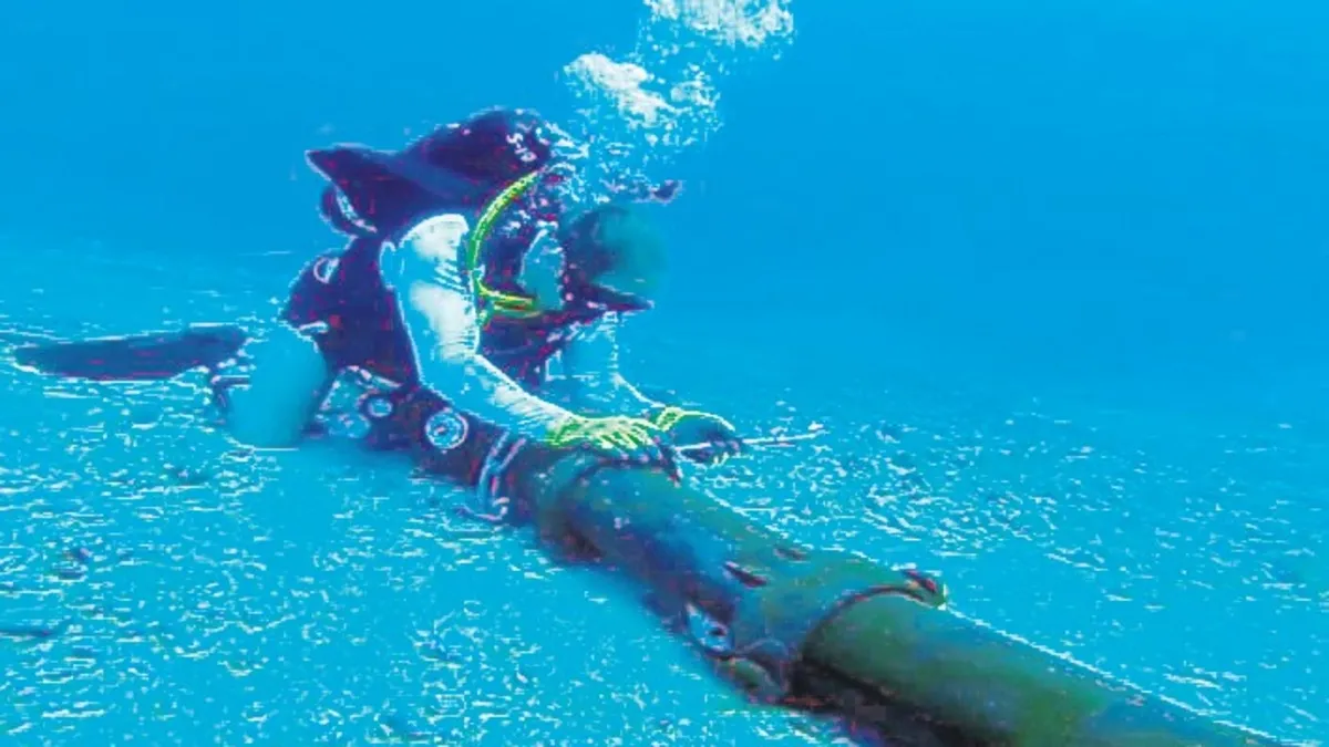 Finlandiya’da sabotaj alarmı