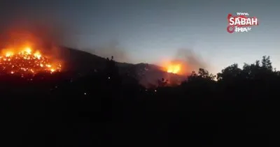 Siirt’te ormanlık alanda çıkan yangın saatler sonra kontrol altına alındı | Video