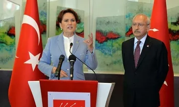 CHP’li isimden İYİ Parti’ye olay gönderme: Besle kargayı oysun gözünü