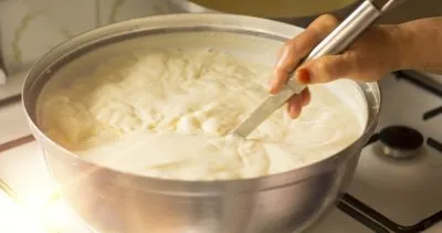 Meğer aşçılar bu mayalama yöntemini uyguluyormuş! İşte yoğurdu taş gibi yapan formül…