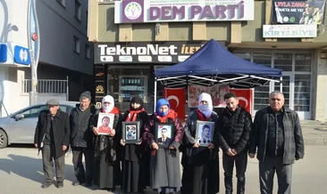 Muş’lu ailelerin evlat nöbeti sürüyor