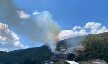 Bursa Kestel’deki orman yangını kontrol altına alındı