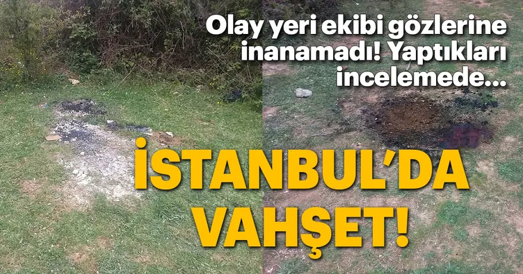 Sarıyer’de vahşet!