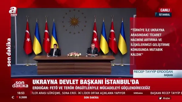 Son dakika! Başkan Erdoğan ve Zelenskiy'den ortak açıklama | Video