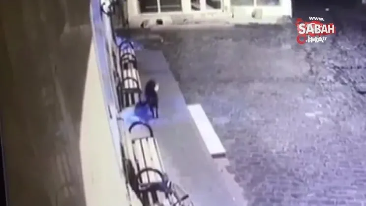 Cami cemaatinin ayakkabısını çalan sevimli hırsız kameraya yakalandı | Video
