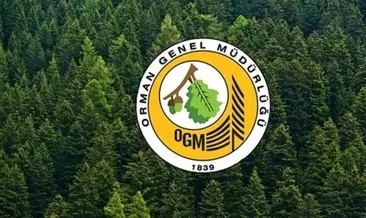 OGM PERSONEL ALIMI BAŞVURULARI DEVAM EDİYOR! Orman Genel Müdürlüğü OGM personel alımı şartları neler?