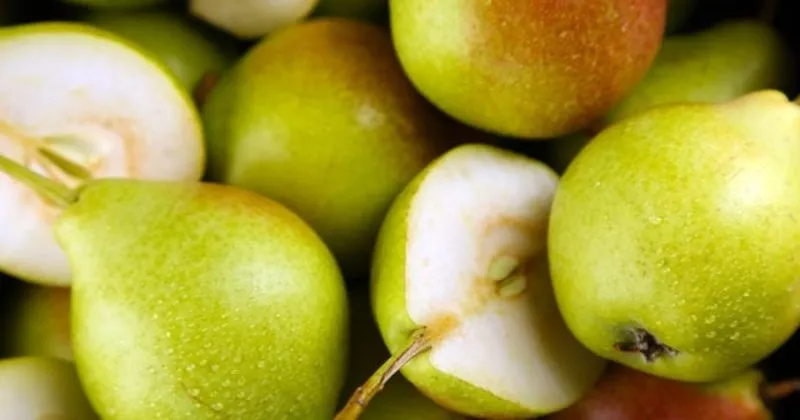 ruyada armut gormek ne demek ruyada armut gormek ile ilgili ruya tabirleri son dakika haberler