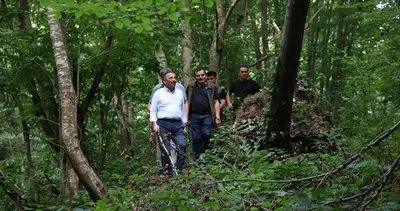 Vali Hacıbektaşoğlu, Harmankaya şelalelerini yakından gözlemledi #zonguldak