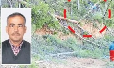 Oğlunun kestiği ağaç öldürdü