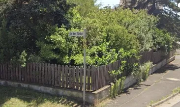 Türkiye sokağının tabelasını çaldılar