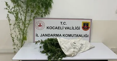Kocaeli'de 3 kilo 750 gram esrar ele geçirildi #kocaeli