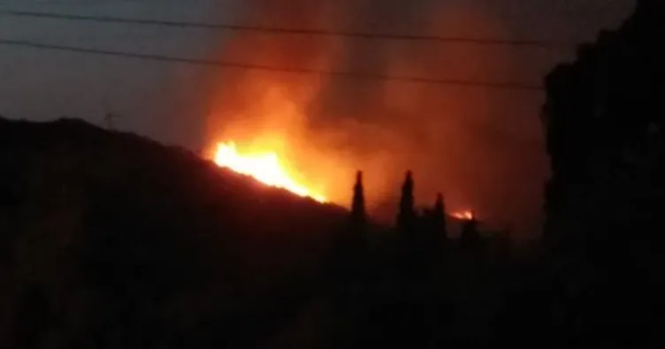Bodrum’da makilik alanda yangın