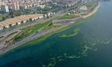 İzmir’deki kötü koku tartışmasına DSİ bölge müdürü de katıldı: Kanalizasyon döşemek kimin işi?