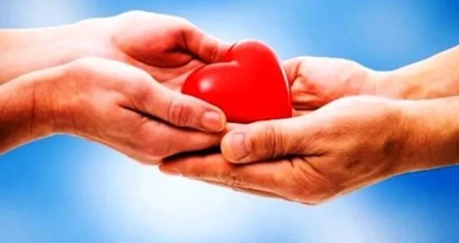 doku ve organ bagisi nedir egitim
