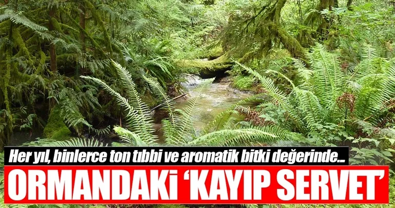 Binlerce ton kayıp servet uyarısı