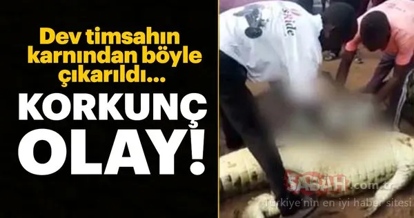 Zimbabve'de korkunç olay! Timsahın karnından...