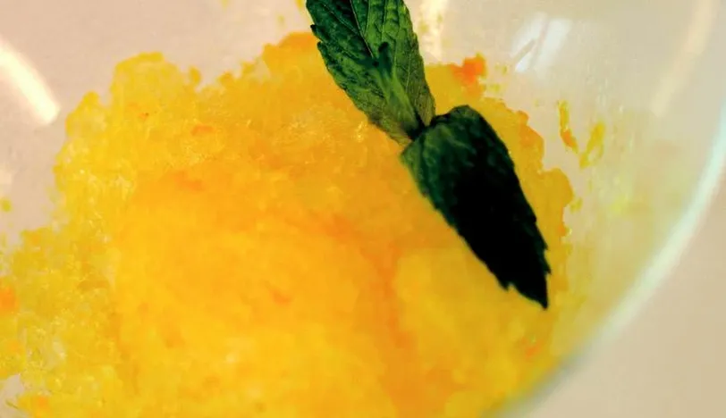 Tropikal Meyve Granita