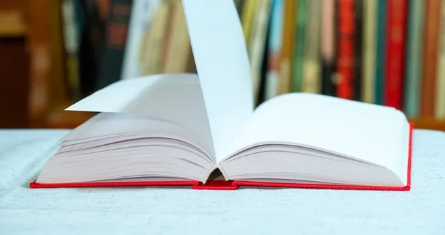 Romanın Yapı Unsurları Nelerdir? Romanda Yapı Unsurları Kaç Tane ve Hangileri?
