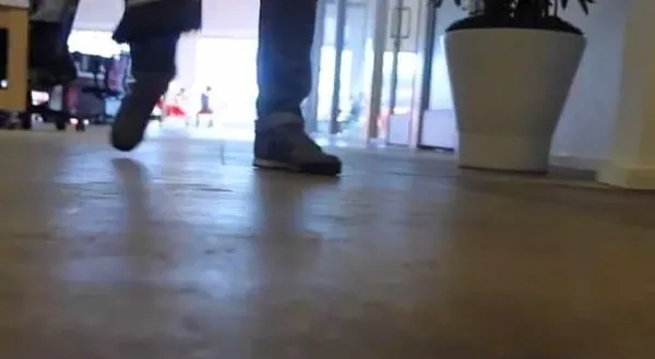 Hayvanlar dünyayı böyle görüyor