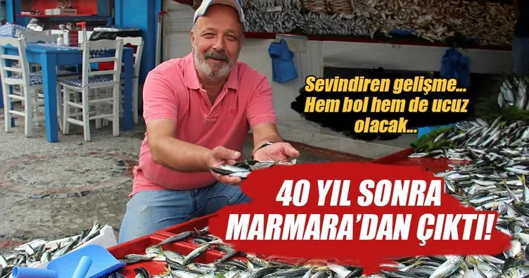 Marmara’dan 40 yıl sonra uskumru çıktı