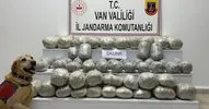 Van’da katır üstünde uyuşturucu operasyonu!