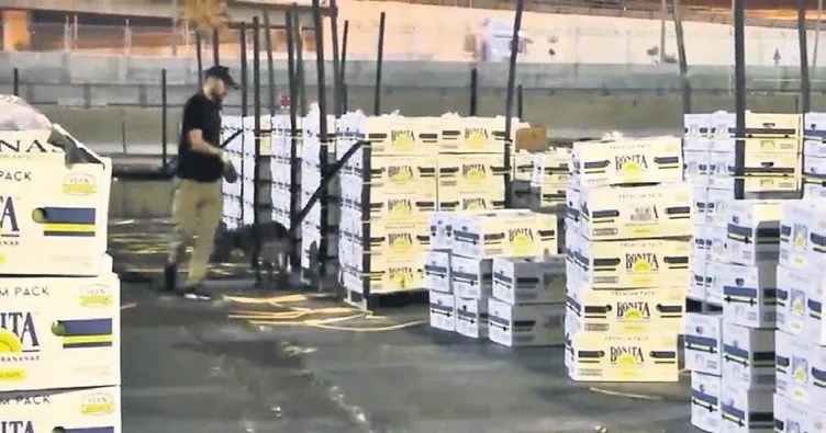 Muz konteynerinden kokain çıktı