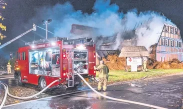 Mültecilere altı ayda 500 saldırı