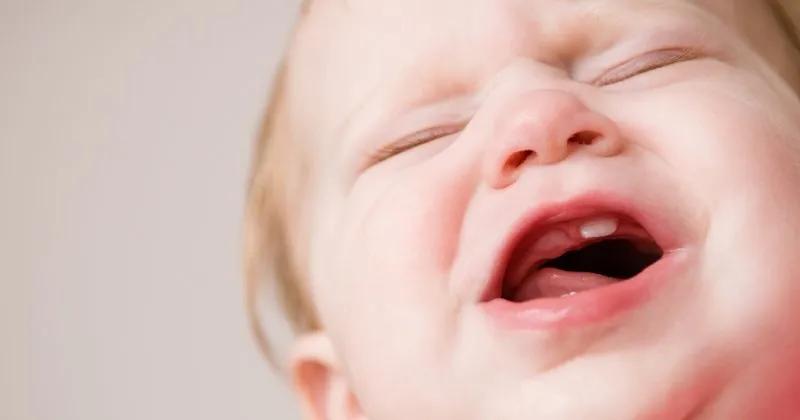 bebeklerde dis cikarmaya ne iyi gelir bebek haberleri