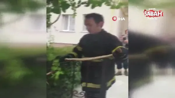 Kırklareli'nin Lüleburgaz ilçesinde apartman girişine dolanan 1 buçuk metrelik yılan böyle kurtarıldı