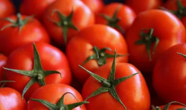 Rusya Tarım Bakan Yardımcısından “domates” açıklaması