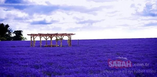 Rüya değil gerçek! Dünyanın en renkli yerleri