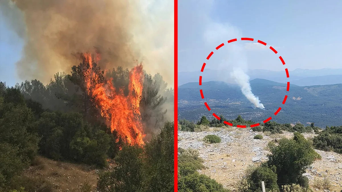 Muğla'da orman yangını! Alevler kontrol altına alındı