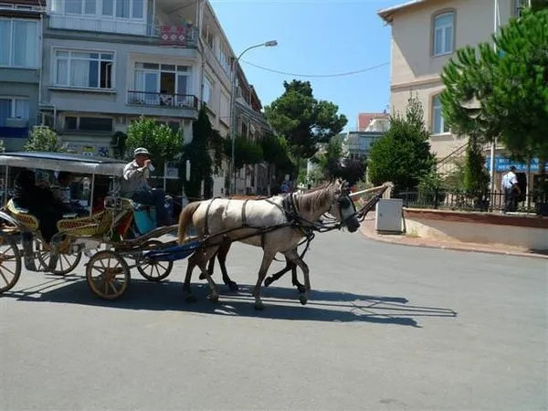 Adalar'da yaşamak