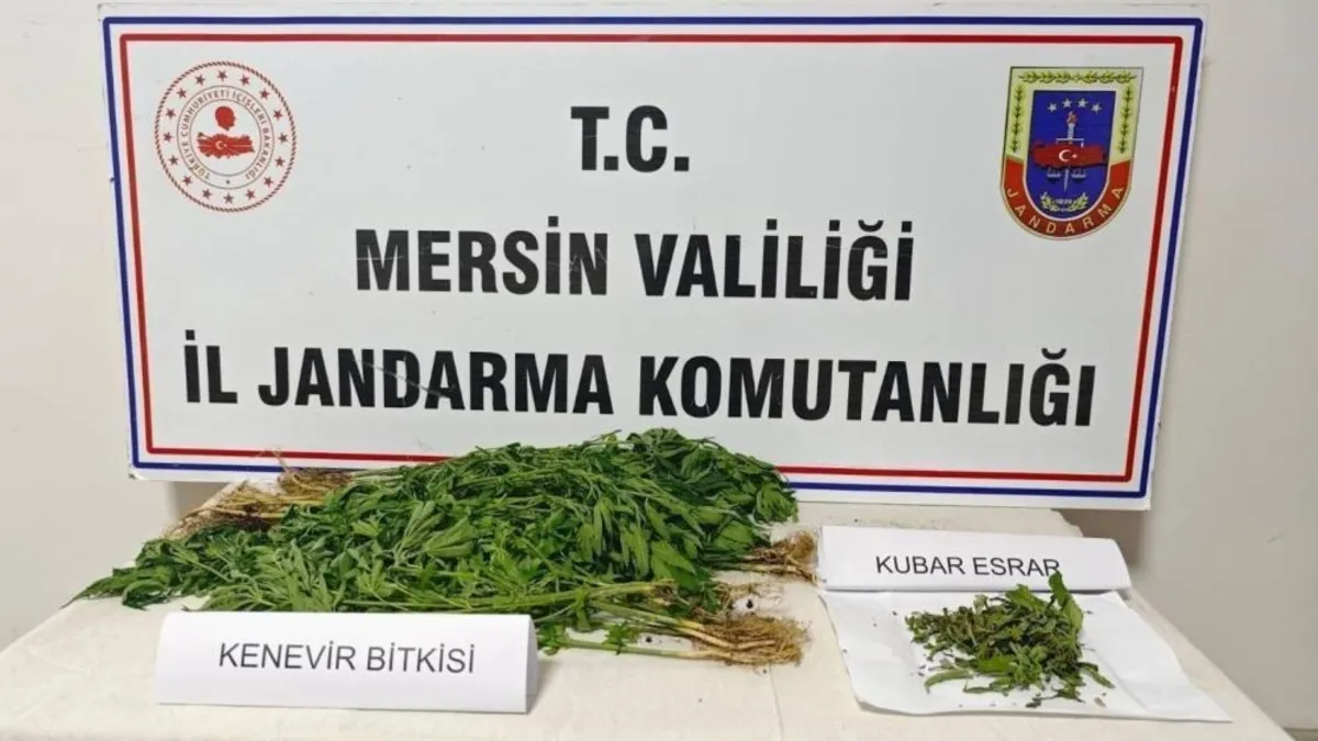 Mersin’de uyuşturucu operasyonu: 6 gözaltı Mersin’de uyuşturucu operasyonu: 6 gözaltı