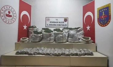 PKK’nın finans kaynağına darbe! 1 milyon kök kenevir ele geçirildi #diyarbakir