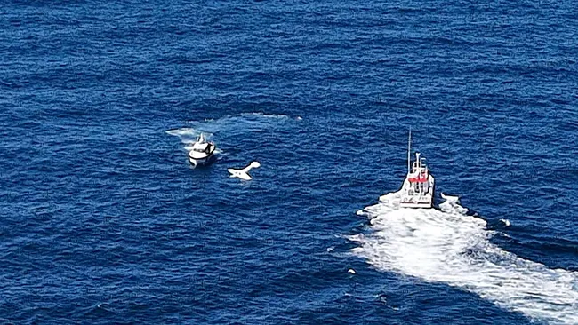 Son dakika: Gürcistan'dan kalkan uçak Rize'de denize acil iniş yaptı