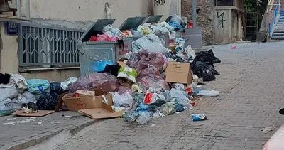 Önce balıklar öldü şimdi de insanlar tehdit altında #izmir