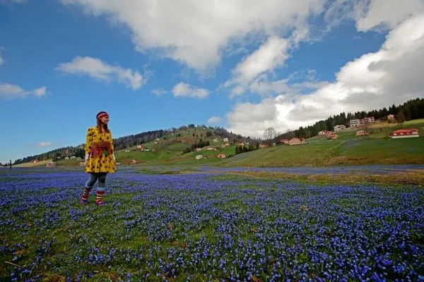 'Mor yayla'ya ziyaretçi akını