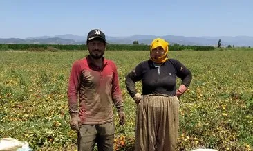 Çapa tutan eller hayat kurtaracak! Tarladan tıp fakültesine