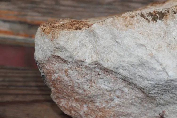 Cudi’de 12 milyon yıllık olduğu belirtilen salyangoz fosili bulundu