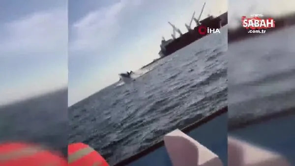 Meksika’da inanılmaz görüntü! Sudan sıçrayan balina tekneye çarptı: 2 yaralı | Video