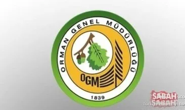 OGM personel alımı başvuruları başladı mı? Orman Genel Müdürlüğü 1613 OGM personel alımı başvurusu nasıl ve nereden yapılır, şartları neler?