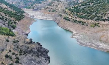 Tarım bakanlığı harekete geçti