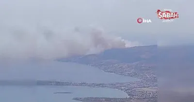 İzmir Dikili’de orman yangını | Video