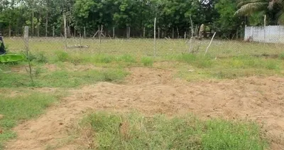 Yüzüklerin Efendisi’nden esinlendi sosyal medyayı salladı!