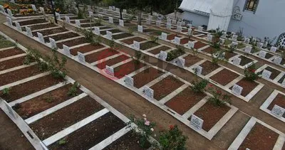 Kocaeli’de 2024 yılında 10 binden fazla kayıp! Ölüm sayıları azaldı #kocaeli