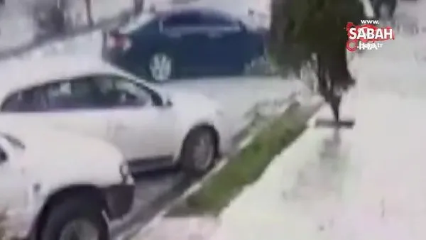 Artvin’de cani sürücünün hamile sokak köpeğinin üzerinden geçtiği anlar kamerada | Video