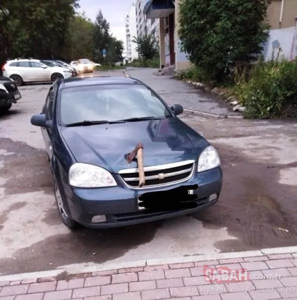 Görenleri şaşırtan talihsiz anlar