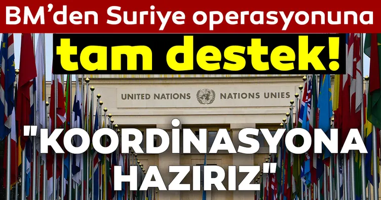 Son Dakika: BM’den operasyon açıklaması!